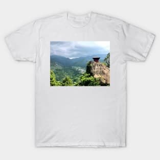 Basho Wayfarer Painting T-Shirt